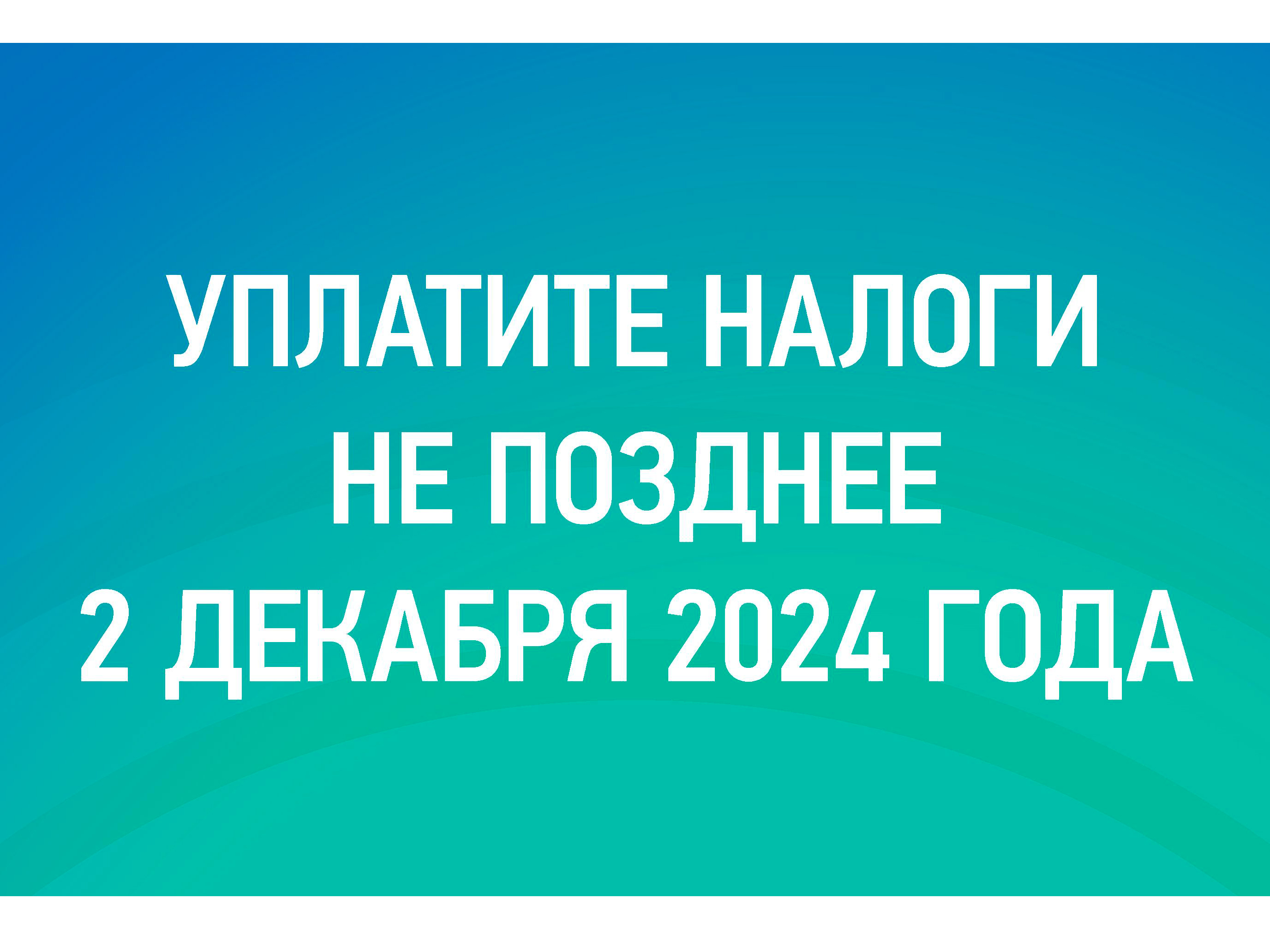 Уплатите налоги не позднее 2 декабря 2024 года.