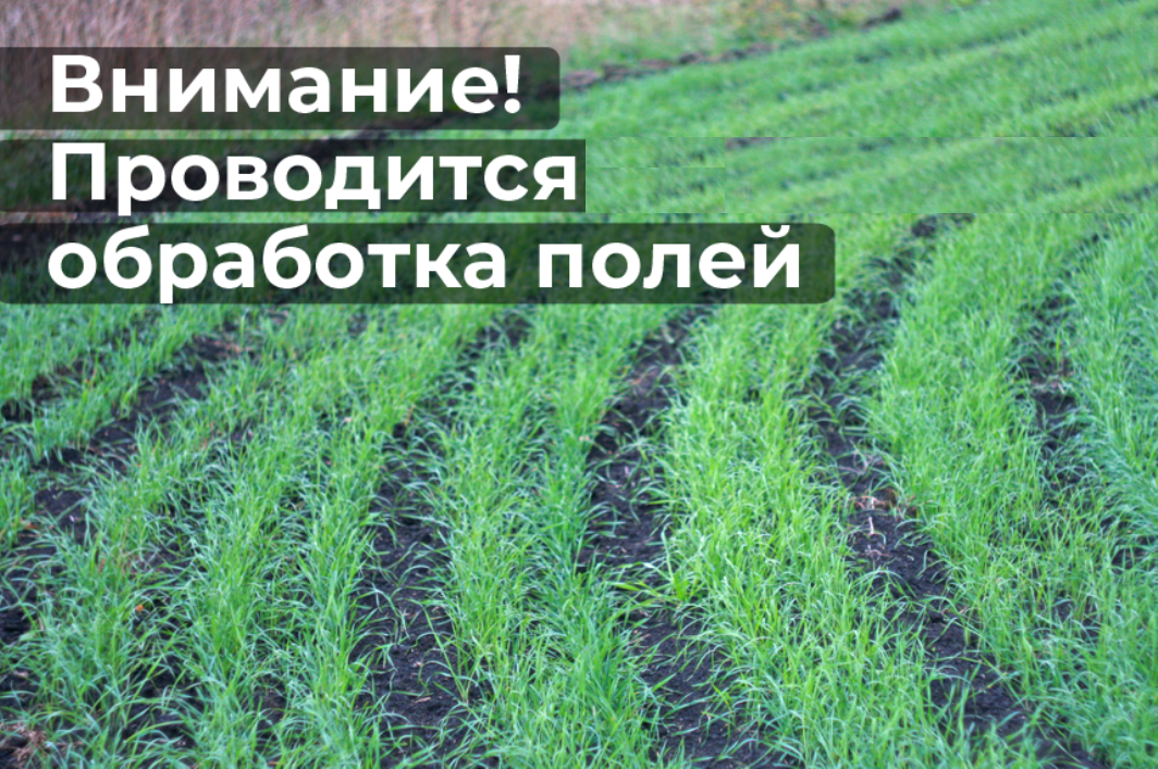 Информация для пчеловодов.