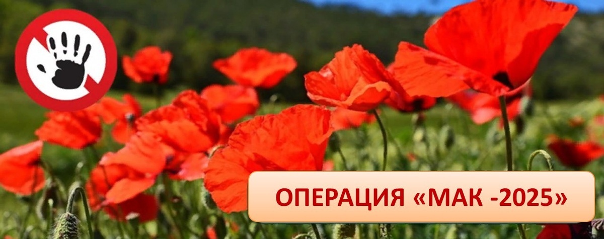 Мак-2025.