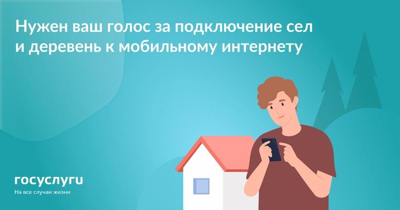 Голосуйте за подключение сёл и деревень к интернету.