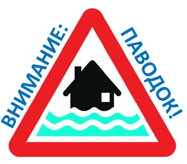 ⚡️ На контроле: подготовка к паводку в Базарносызганском округе.