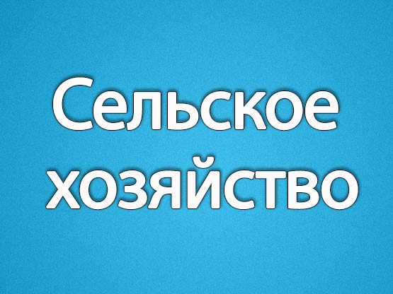 С 01.09.2024г изменяется минимальная цена на никотиносодержающую продукцию.