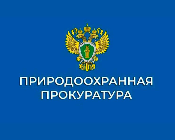 Природоохранная прокуратура информирует.