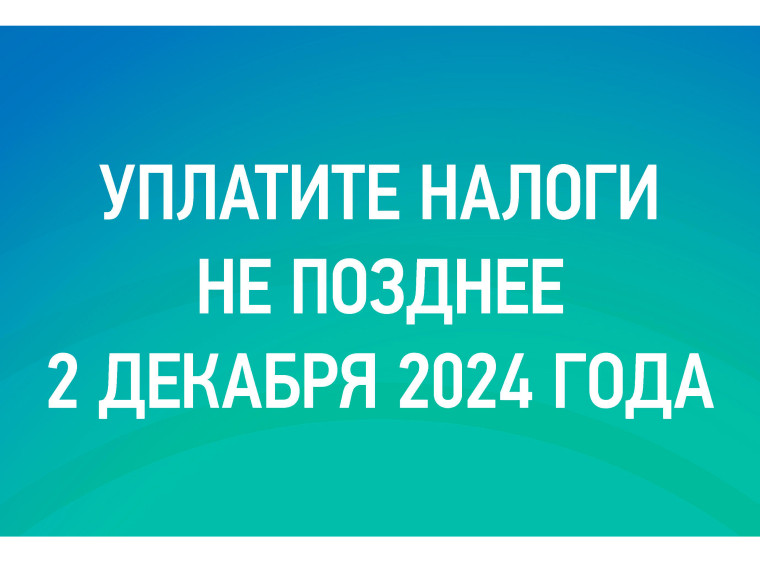 Уплатите налоги не позднее 2 декабря 2024 года. Уплатите налоги не позднее 2 декабря 2024 года.