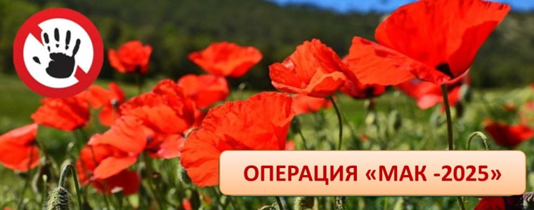 Мак-2025. Мак-2025.
