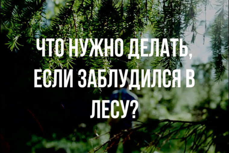 Что делать если заблудился в лесу памятка. Что делать если заблудился в лесу памятка.