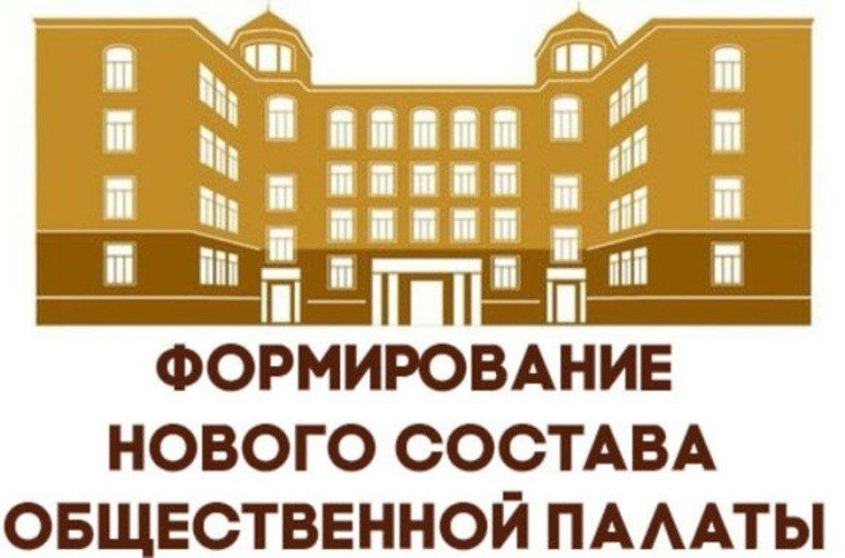 Процедура отбора кандидатов в члены Общественной палаты.